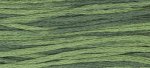 (image for) Seaweed